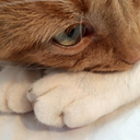 itllbe-amulligan avatar