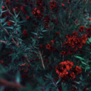 itllneverbeyouandme avatar