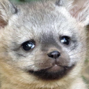 itmeanssungod avatar