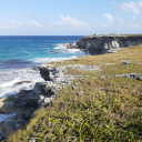 itrainsinallmydreams avatar