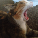 itripoveroxygen avatar