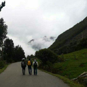 itrycontrollall avatar