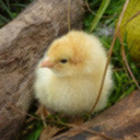 its-all-a-stimulation avatar