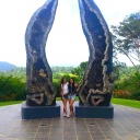 its-all-happeing avatar