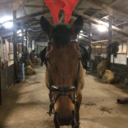 its-all-just-insanity avatar