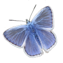 its-allaboutit avatar