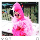 its-always-necessary avatar