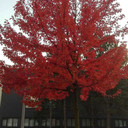 its-always-the-littlest-things avatar