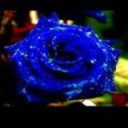 its-belle-obviously avatar