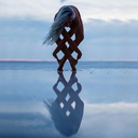 its-blossom-in-a-bucket avatar