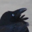 its-caw avatar