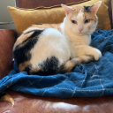 its-gita-time avatar