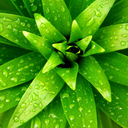 its-health-dom avatar