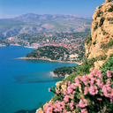 its-justparadise avatar