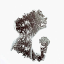 its-like-rolling-dice avatar