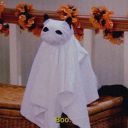 its-night-again avatar