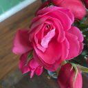 its-no-that-serious avatar