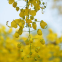 its-rogue-lebeau-blog avatar