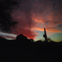 its-the-awkward-boy avatar