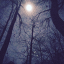 its-too-green avatar