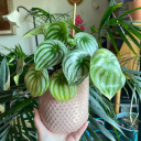 its-very-cold-in-space avatar