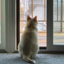 its-yoshis-world avatar