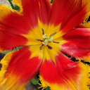 itsaboutcarryingthemhome avatar