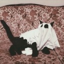 itsahauntedhouse avatar