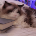 itsallaboutkey avatar