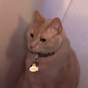 itsallmusictomyears avatar