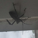 itsallthetime avatar