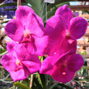 itsalwayslikethiswithyou avatar