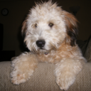 itsathingandyoucandoit avatar