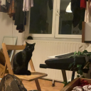 itsdoylet-blog avatar