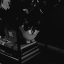 itsdzofficialus avatar