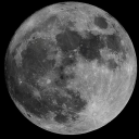 itsfreakingyouth avatar