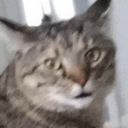 itsgarythedemon avatar