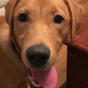 itsgeorgeease avatar