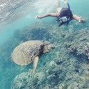 itsincandescence avatar