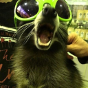 itsjustlyric1 avatar