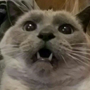 itsjustnotstuff avatar