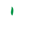 itslitt202-blog avatar