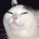 itsmelonsloth avatar