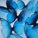 itsmultipleloves avatar