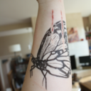 itsnevergettingbetter-blog avatar