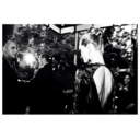 itsnotabout-you-anymore avatar