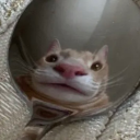 itsnotcastiel avatar