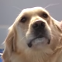 itsnotyouanditsnotme avatar