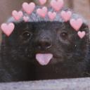 itspaddockprincess avatar