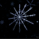 itspronouncedhoodydammit avatar